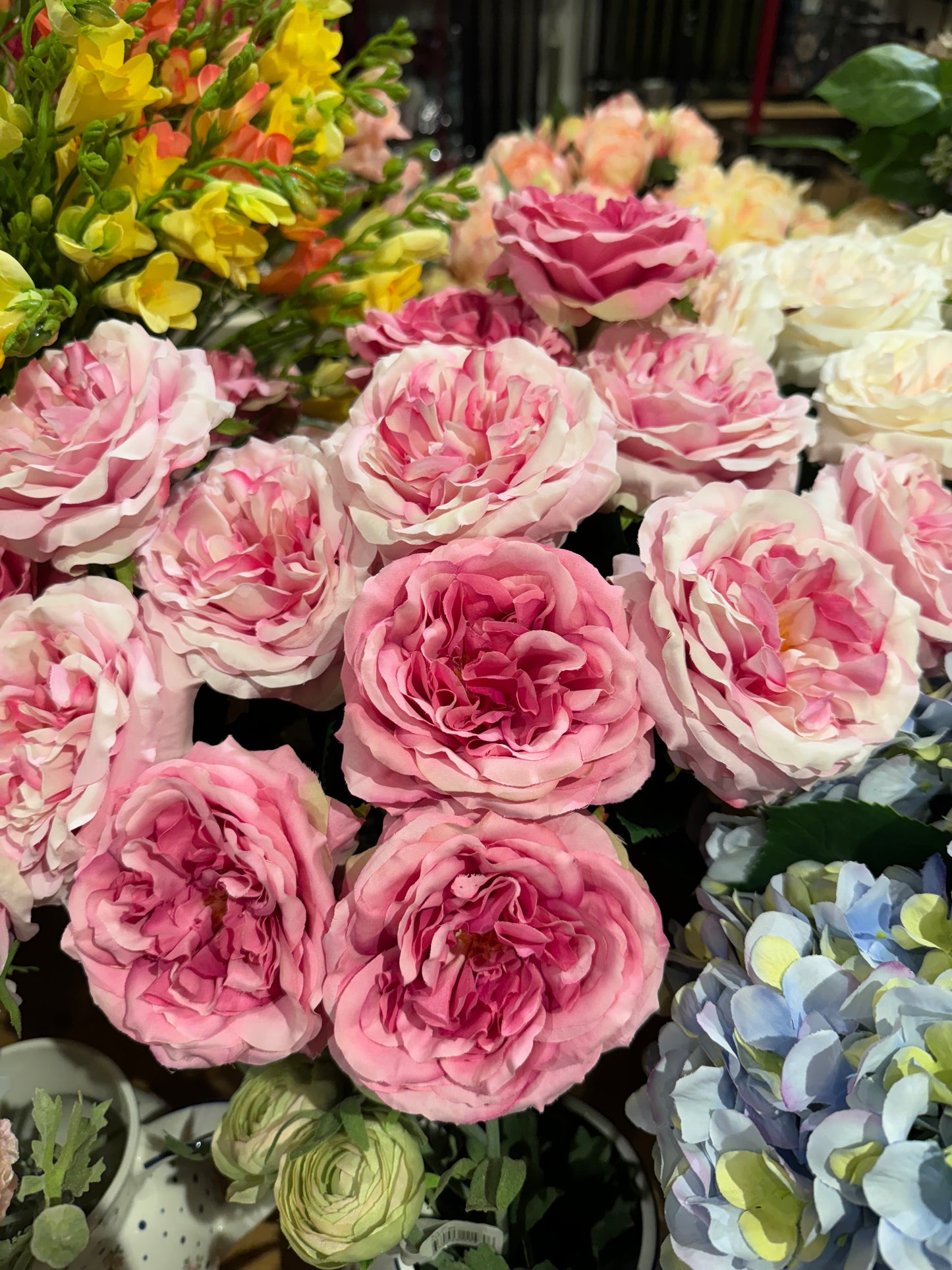 Rose Alma rosa og hvit EDG Enzo de Gasperi