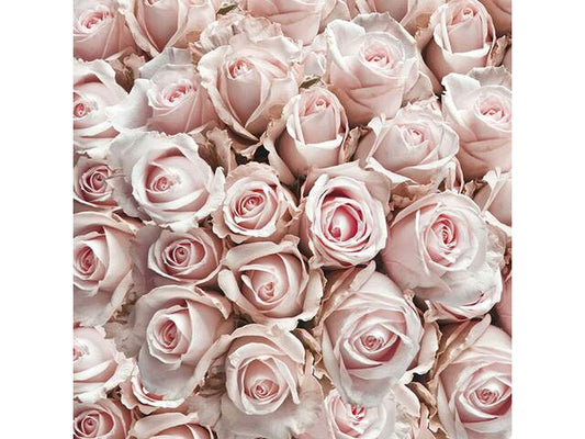 Serviett lunsj roser Pastel roses rosa Ambiente
