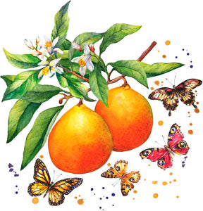 Serviett lunsj frukt fruity butterflies