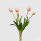 Tulipaner 5 stk lys rosa Enzo de Gasperi