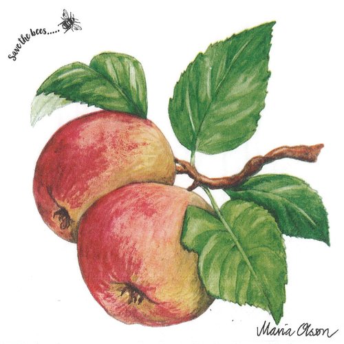 Serviett lunsj epler Apple Duni