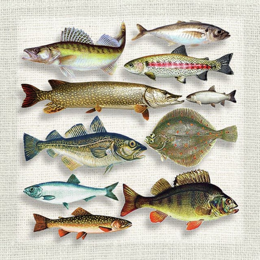 Serviett lunsj fisk Fish variety Ambiente