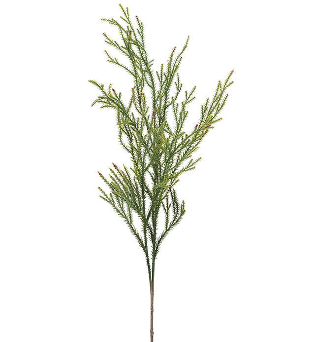 Gran kvist 80 cm Mr Plant