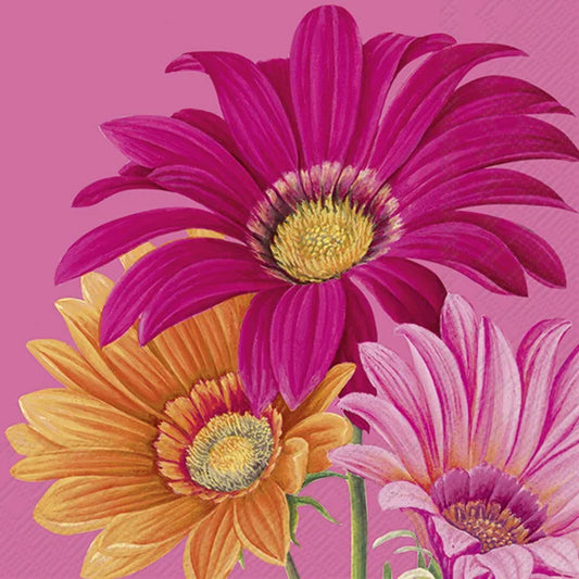 Serviett kaffe Joyful Gerbera Pink IHR