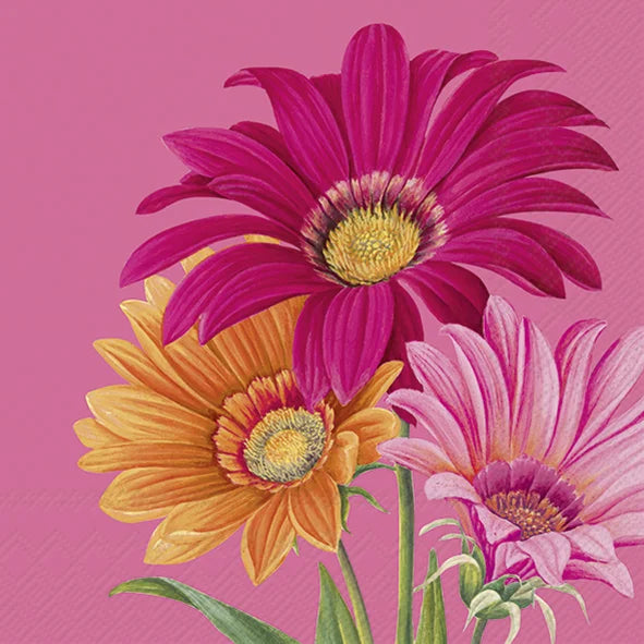 Serviettt lunsj Joyful Gerbera Pink IHR