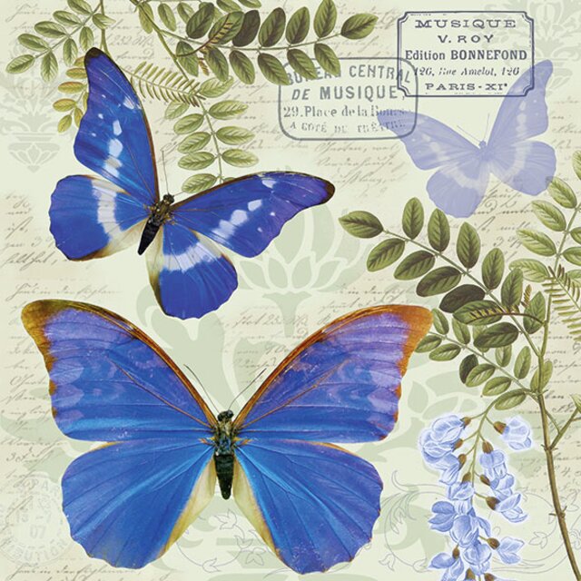 Serviett lunsj Lunsj Blue Morpho Ambiente