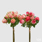 Roser rosa 6 stk i bunt med 12 roser EDG