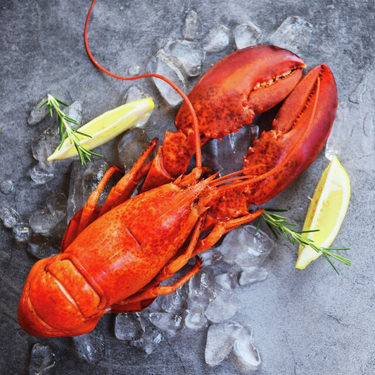 Serviett lunsj hummer fresh lobster Ambiente