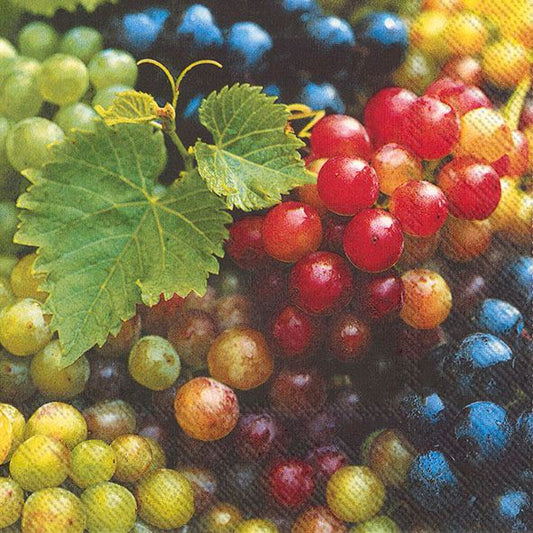 Serviett lunsj Grapes  druer IHR